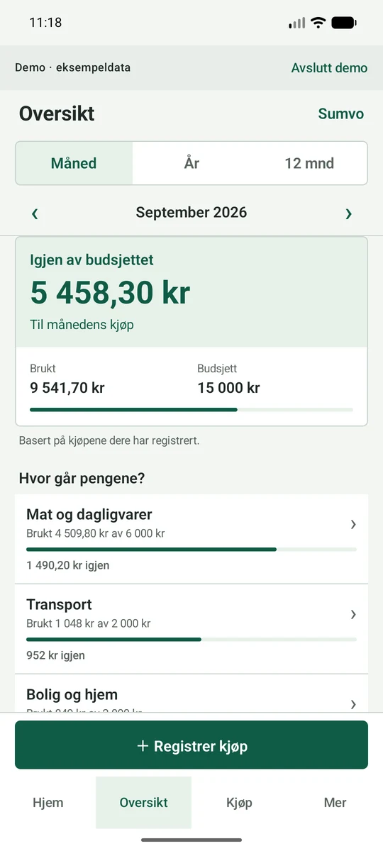 Sumvo: oversikt over budsjett og forbruk fordelt på kategorier.